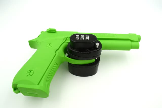 2GIG Gun Motion Detector